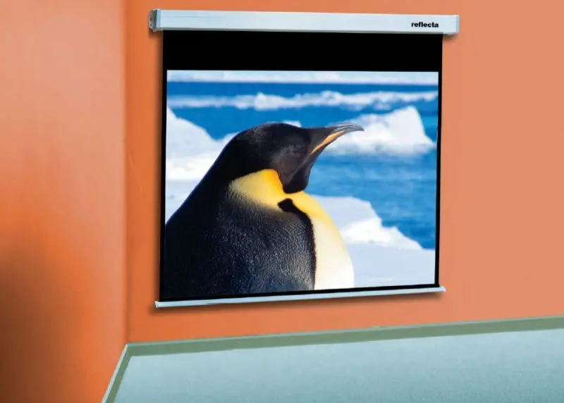Ecran de proiectie Reflecta CrystalLine Rollo 300x226 (White)