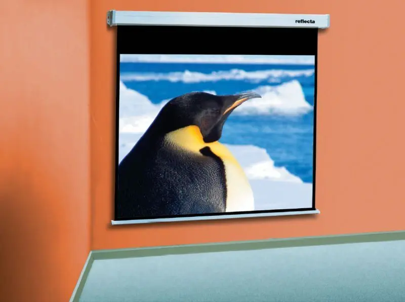 Ecran de proectie Reflecta SilverLine Rollo 300x208 (White)