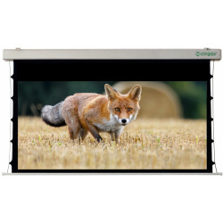 Ecran de proiectie Sopar Taurus 5305ZT-RN (White)