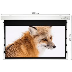 Ecran de proiectie Sopar Taurus Tensionato 5405ZT (White) Thumb