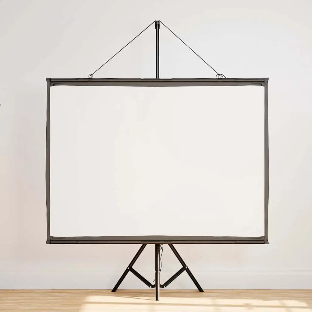 Ecran de proiectie VidaXL 4101039 (White/Black)