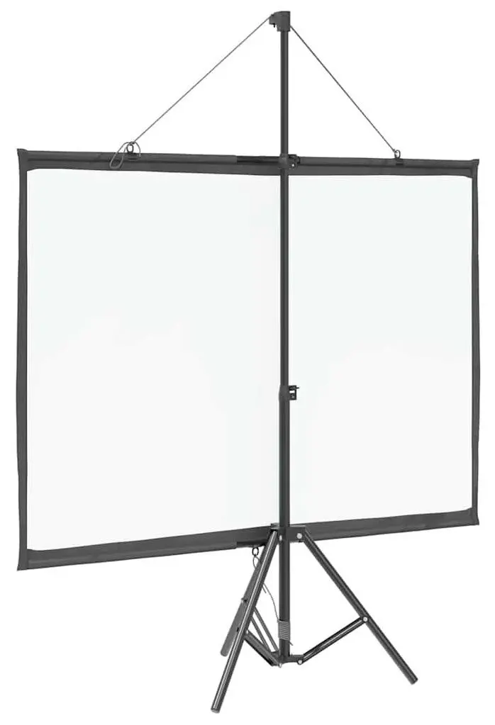 Ecran de proiectie VidaXL 4101039 (White/Black)