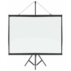 Ecran de proiectie VidaXL 4101039 (White/Black)