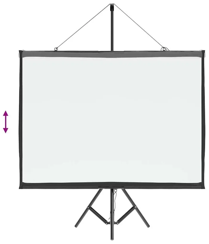 Ecran de proiectie VidaXL 4101039 (White/Black)