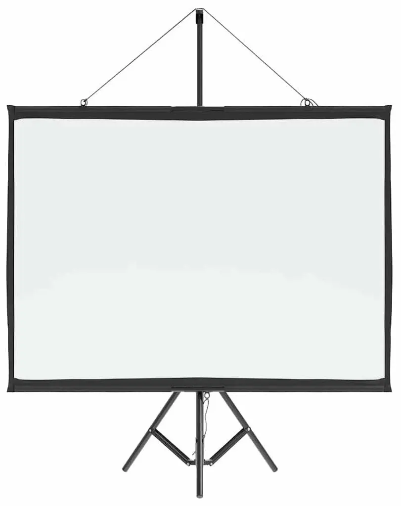 Ecran de proiectie VidaXL 4101039 (White/Black)