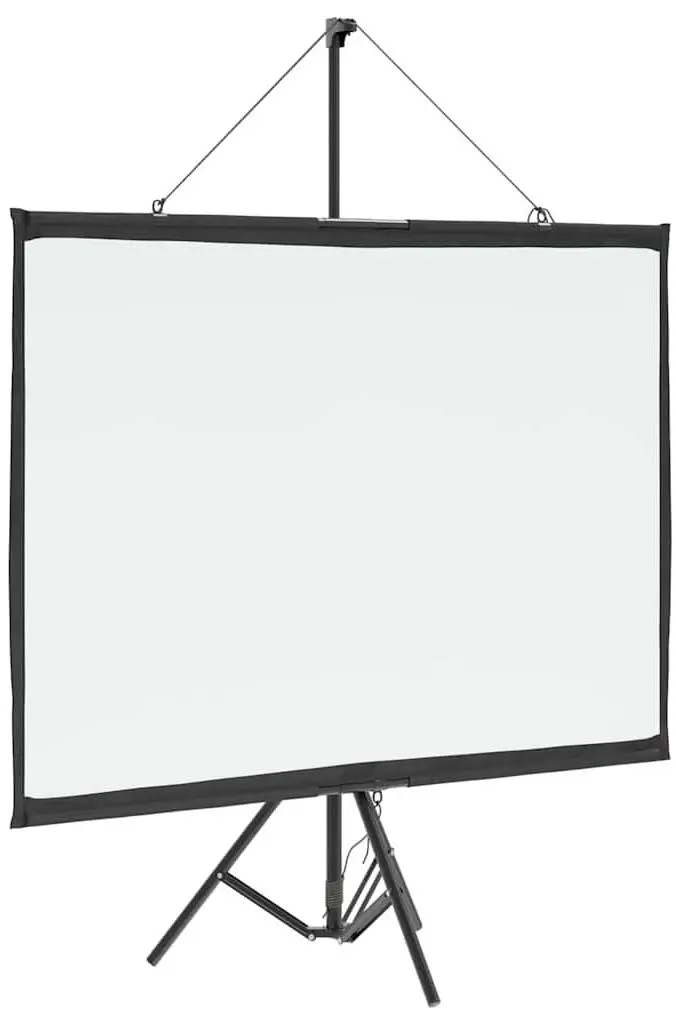 Ecran de proiectie VidaXL 4101040 (White/Black)