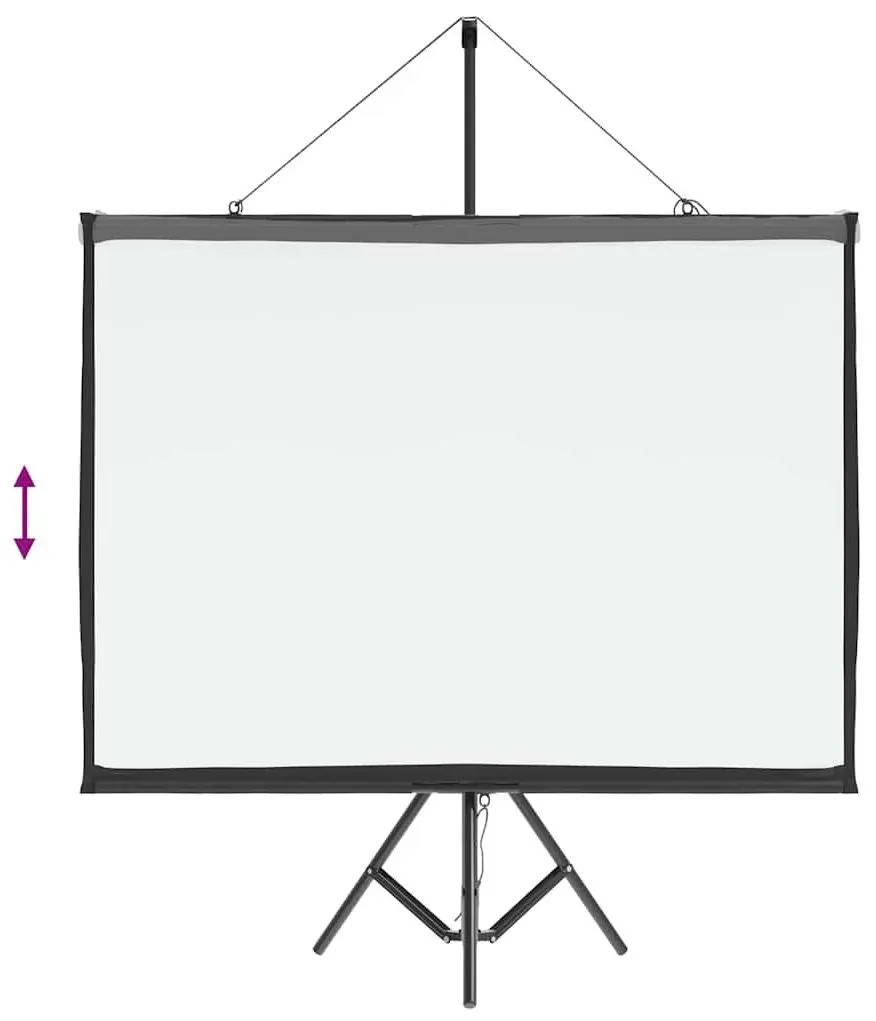 Ecran de proiectie VidaXL 4101040 (White/Black)
