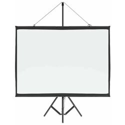 Ecran de proiectie VidaXL 4101040 (White/Black)