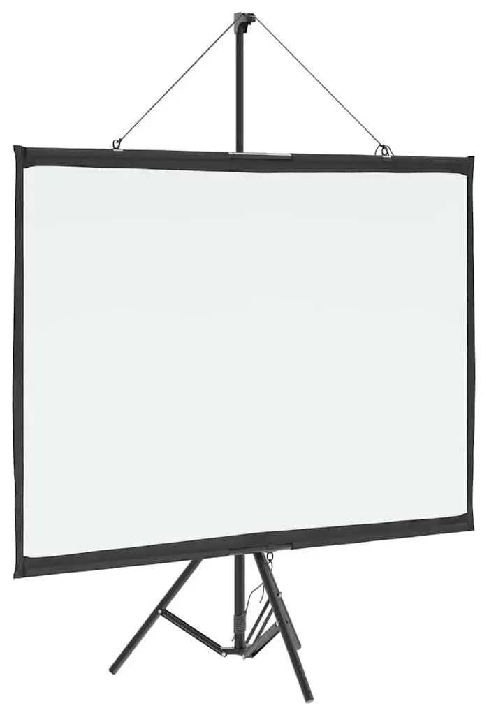 Ecran de proiectie VidaXL 4101041 (White/Black)