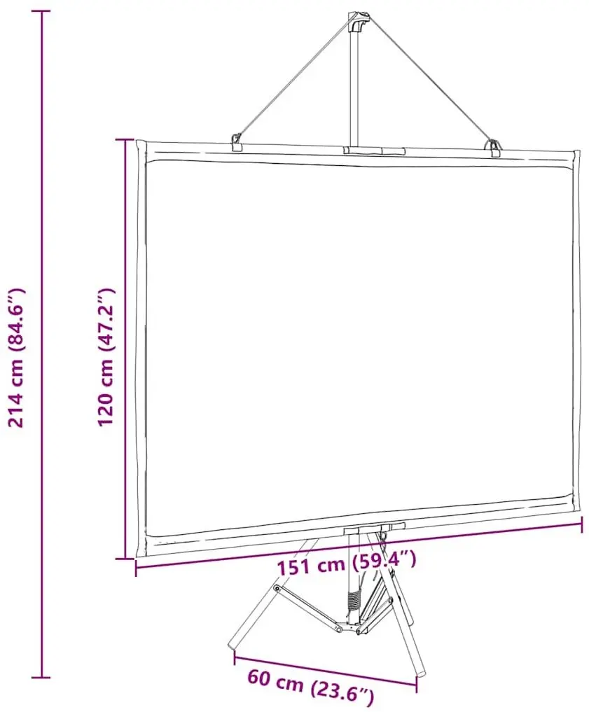Ecran de proiectie VidaXL 4101041 (White/Black)
