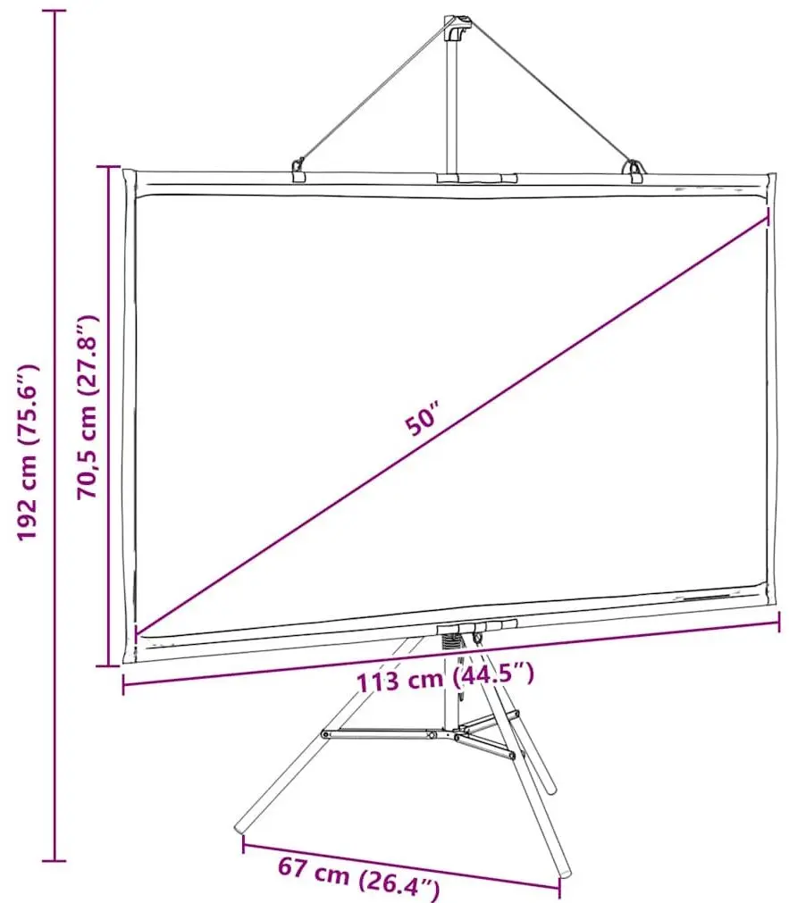 Ecran de proiectie VidaXL 4101045 (White/Black)