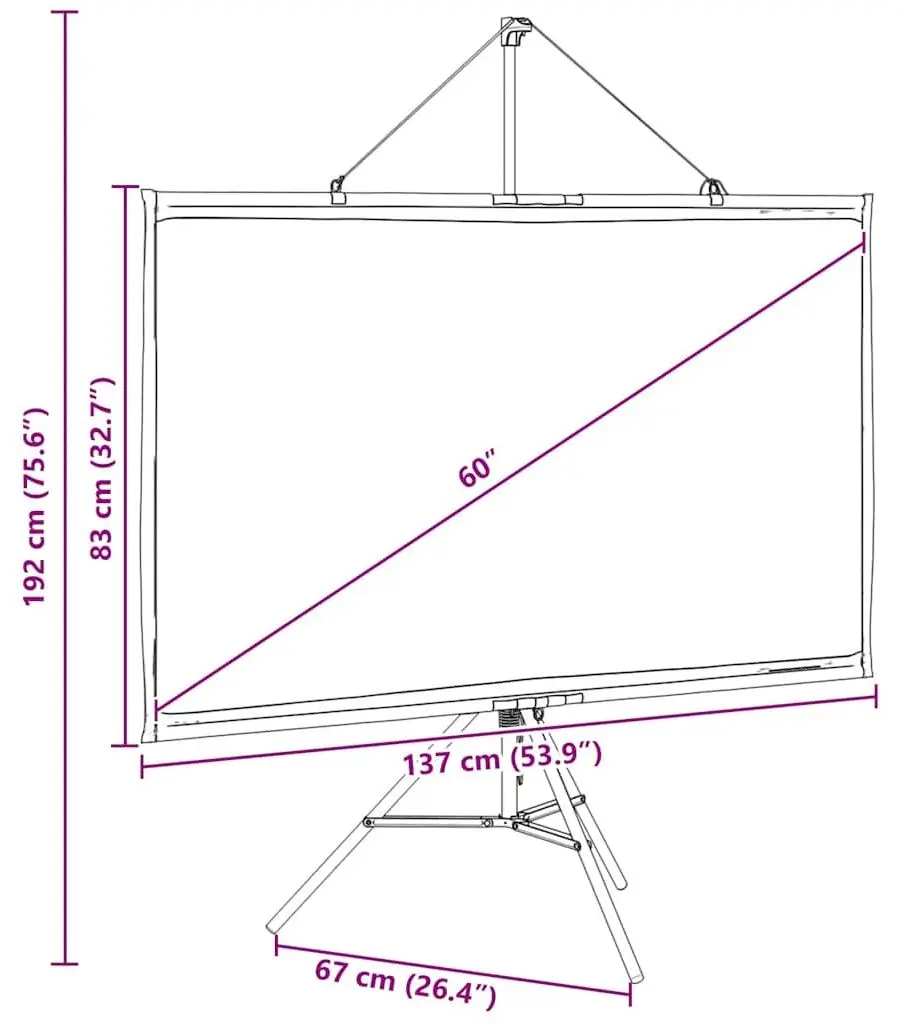Ecran de proiectie VidaXL 4101046 (White/Black)