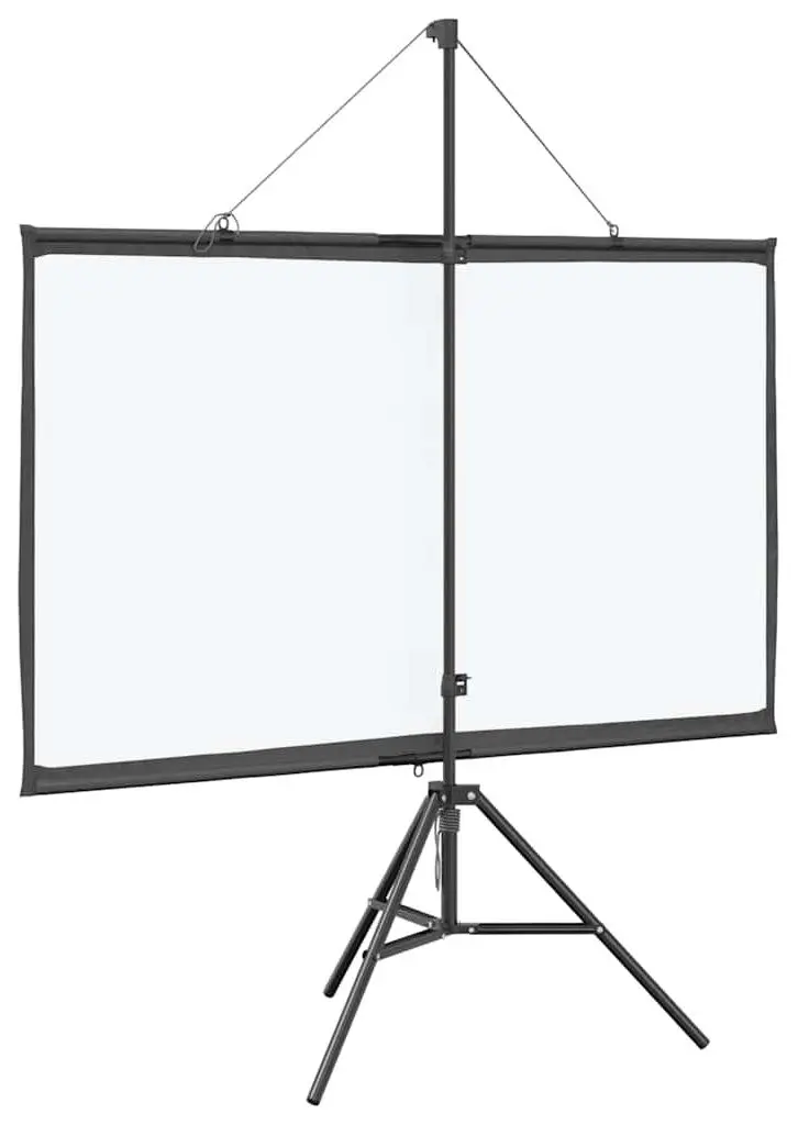 Ecran de proiectie VidaXL 4101047 (White/Black)