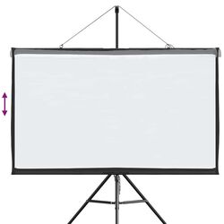 Ecran de proiectie VidaXL 4101047 (White/Black) Thumb