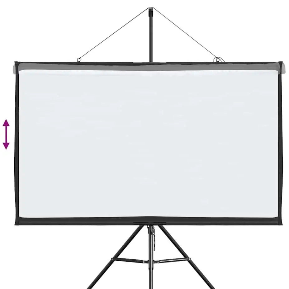 Ecran de proiectie VidaXL 4101047 (White/Black)