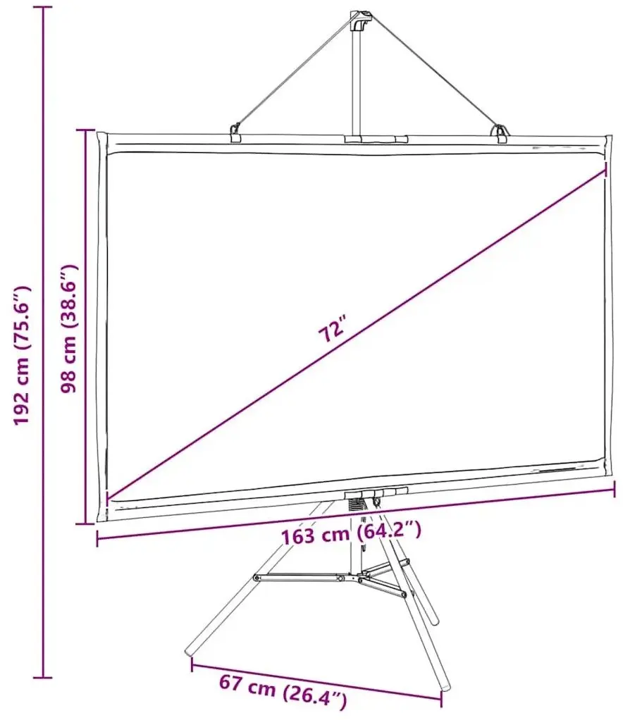 Ecran de proiectie VidaXL 4101047 (White/Black)