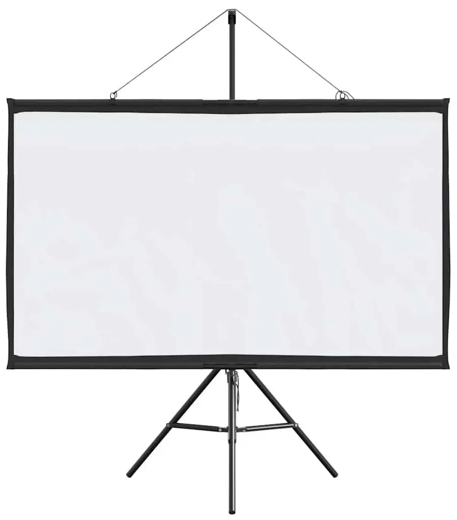 Ecran de proiectie VidaXL 4101047 (White/Black)