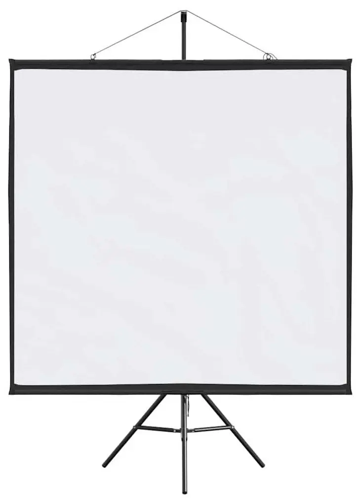 Ecran de proiectie VidaXL 4101054 (White/Black)