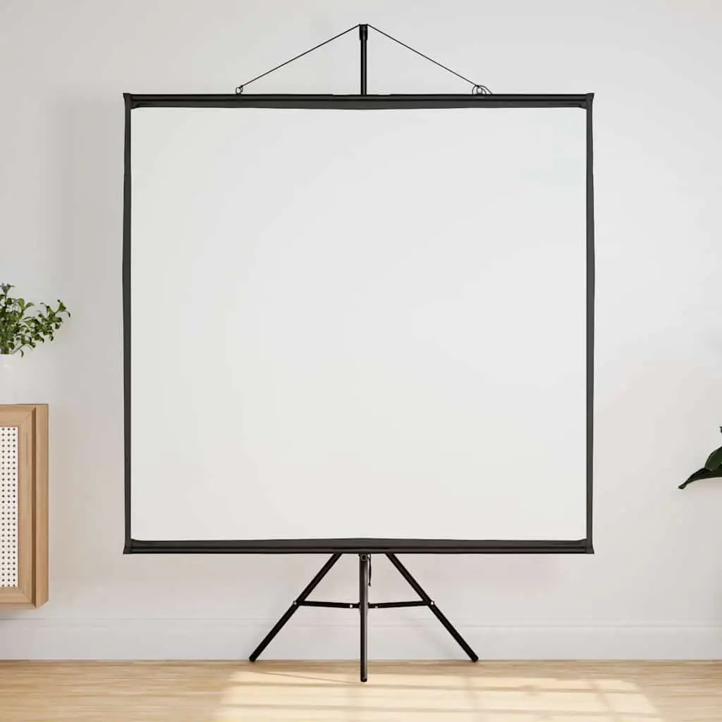 Ecran de proiectie VidaXL 4101054 (White/Black)