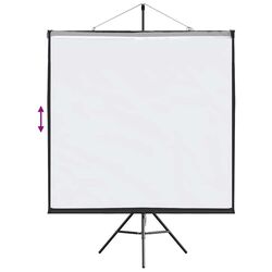 Ecran de proiectie VidaXL 4101054 (White/Black) Thumb