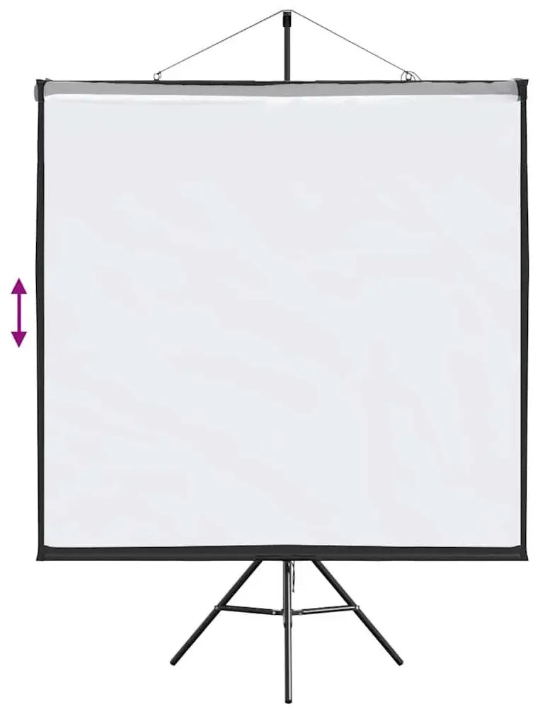 Ecran de proiectie VidaXL 4101054 (White/Black)