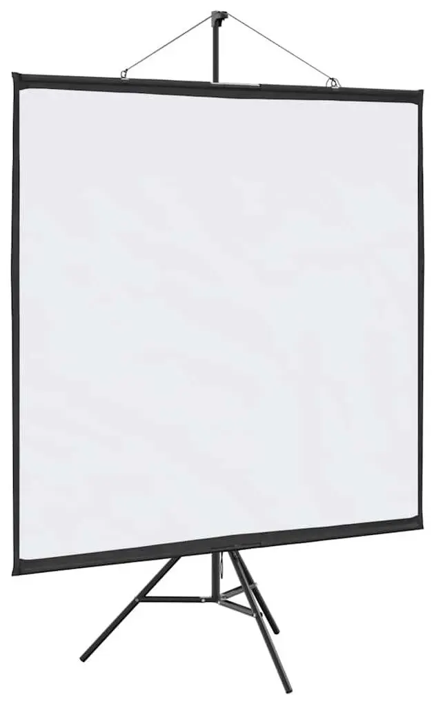 Ecran de proiectie VidaXL 4101054 (White/Black)