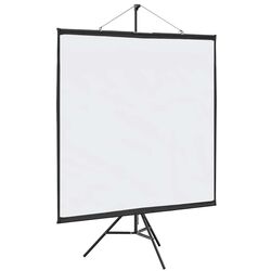 Ecran de proiectie VidaXL 4101055 (White/Black) Thumb