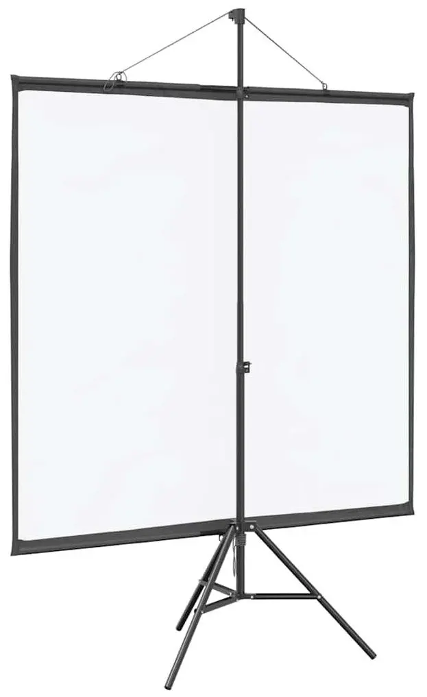 Ecran de proiectie VidaXL 4101055 (White/Black)