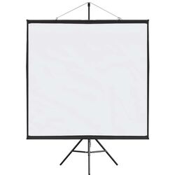 Ecran de proiectie VidaXL 4101055 (White/Black)