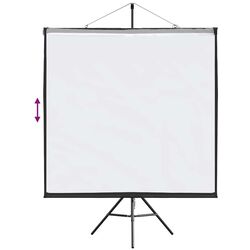 Ecran de proiectie VidaXL 4101055 (White/Black) Thumb