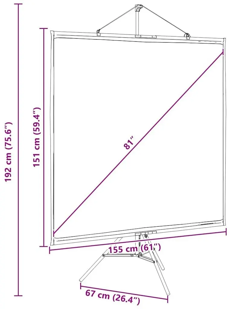Ecran de proiectie VidaXL 4101055 (White/Black)
