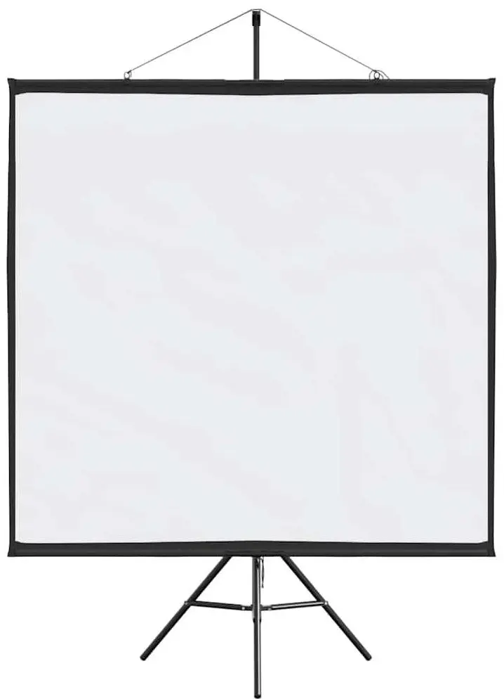 Ecran de proiectie VidaXL 4101055 (White/Black)