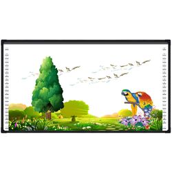 Интерактивная доска Evoboard IB-2C96 (White/Black)