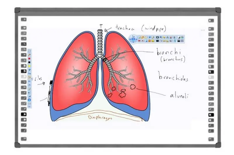 Интерактивная доска Evoboard IB-95Q6 (White)