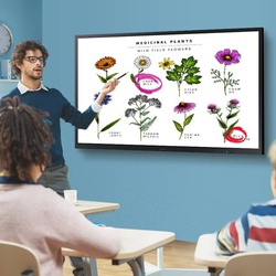 Интерактивная доска Samsung Flip 3 WM85A-W (Black) Thumb