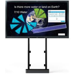 Интерактивная доска Smart Technologies Board GX175 + Vogel's Rise 2005 (Black)