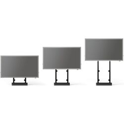 Интерактивная доска Smart Technologies Board SBID-GX165 + Vogel's Rise 2005 (Black) Thumb