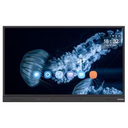 Интерактивная доска StarBoard IFPD-YL6-75AOC (Black)