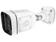 IP camera Foscam V5EP (White)