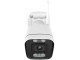 IP camera Foscam V5P (White)