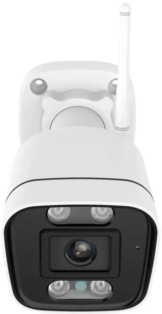 IP camera Foscam V5P (White)