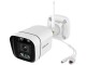 IP camera Foscam V5P (White)