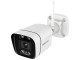 IP camera Foscam V5P (White)