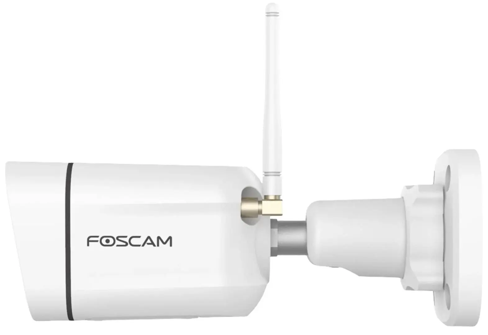 IP camera Foscam V5P (White)