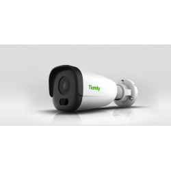 IP-камера Tiandy TC-C32GN I5/E/Y/C/2.8mm/V4.2 (White) Thumb