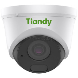 IP camera Tiandy TC-C34HN (White)
