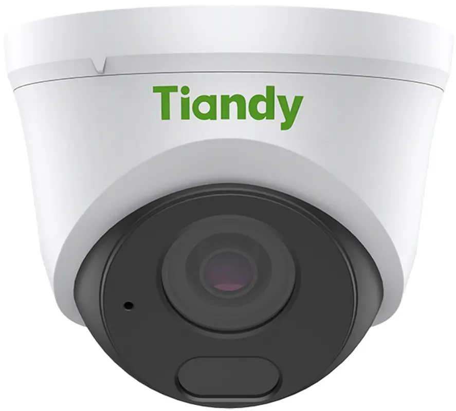 IP camera Tiandy TC-C34HN (White)