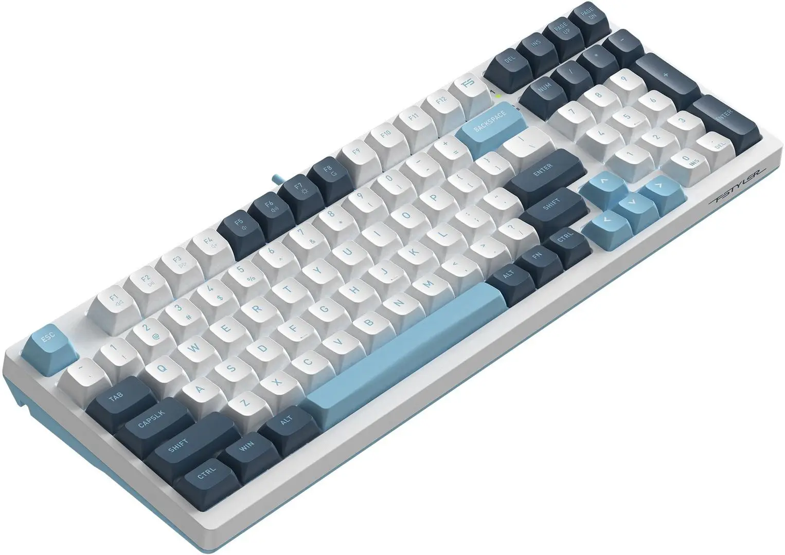 Tastatura A4Tech FS300 (Panda Snowboarding)