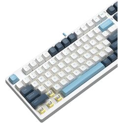 Tastatura A4Tech FS300 (Panda Snowboarding) Thumb