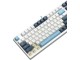 Tastatura A4Tech FS300 (Panda Snowboarding)